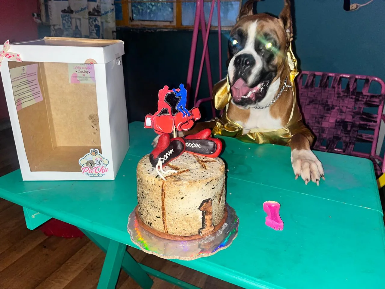 Perro junto a su pastel de cumpleaños