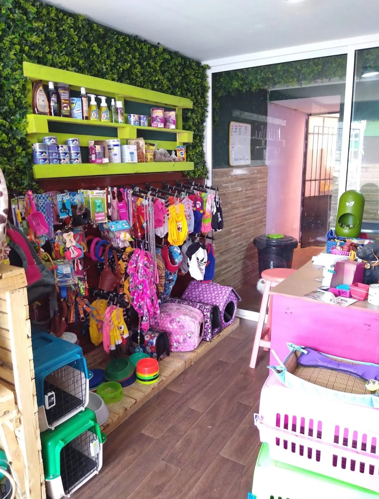 Área interior con juguetes para mascotas