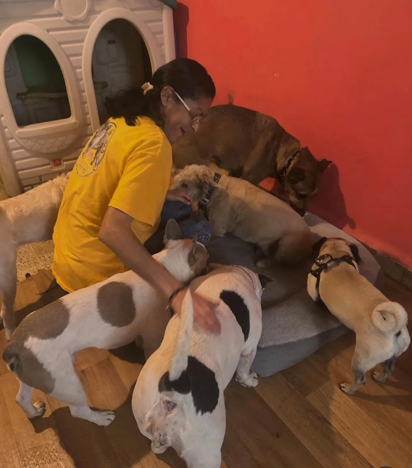 Perritos en un espacio de descanso